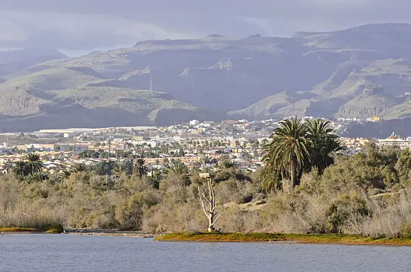 564228 - Charco de Maspalomas with shifting sand dunes, Maspalomas, Gran Canaria, Spain