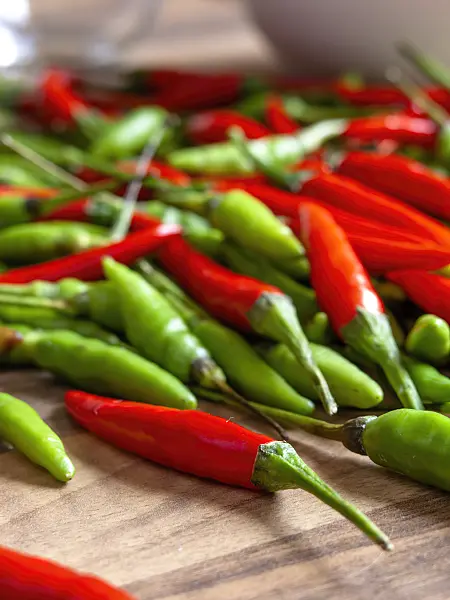436013 - Chili (Capsicum)