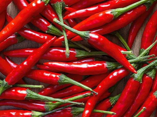 436011 - Chili pepper (Capsicum)