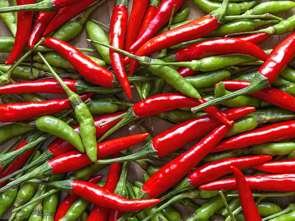 436012 - Chili pepper (Capsicum)
