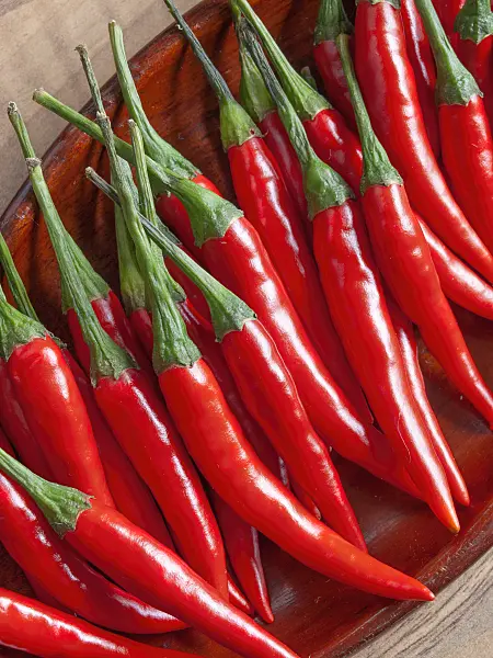 436014 - Chili pepper (Capsicum)