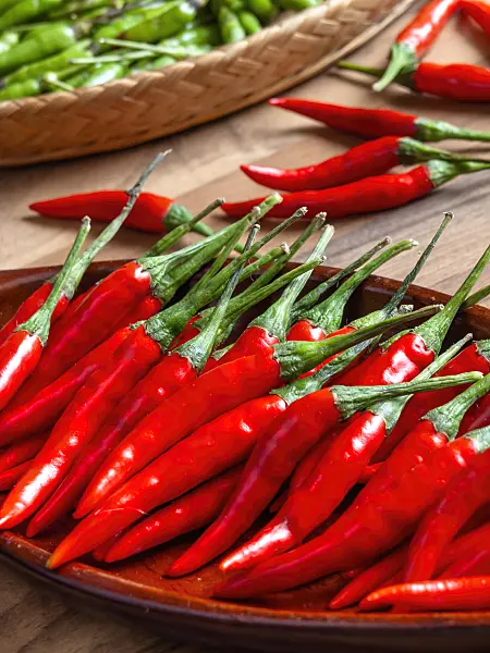 436016 - Chili pepper (Capsicum)