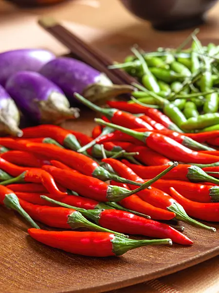 436034 - Chili pepper (Capsicum) and aubergine (Solanum melongena)
