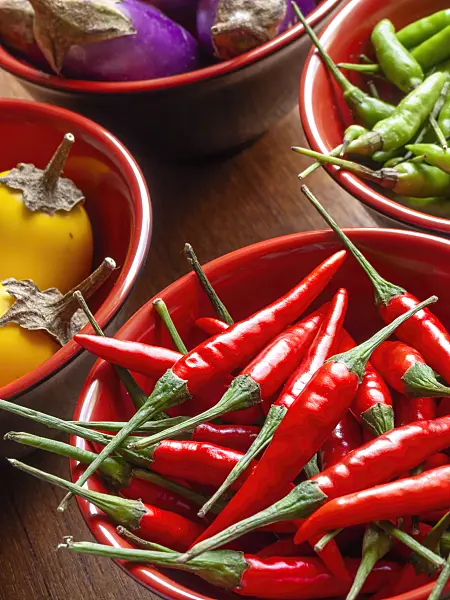 436038 - Chili pepper (Capsicum) and aubergine (Solanum melongena)