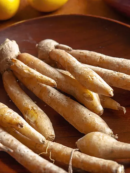 436028 - Chinese ginger (Boesenbergia pandurata)