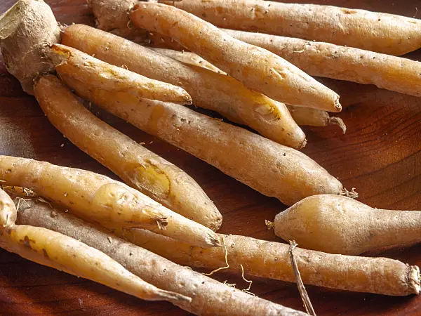436029 - Chinese ginger (Boesenbergia pandurata)