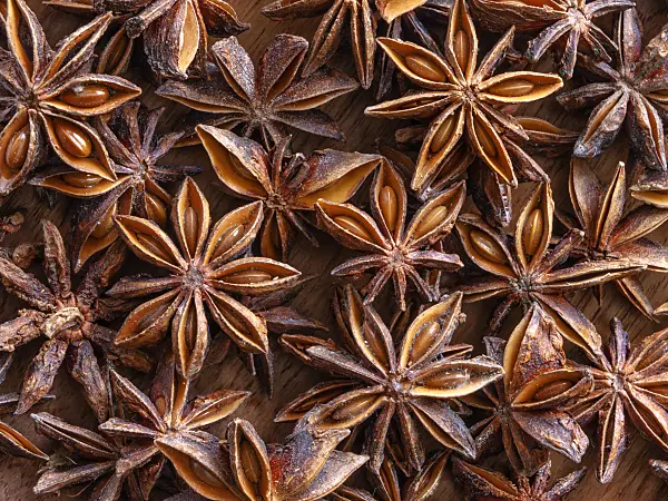 433065 - Chinese star anise (Illicium verum)