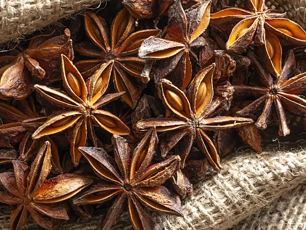 433071 - Chinese star anise (Illicium verum)