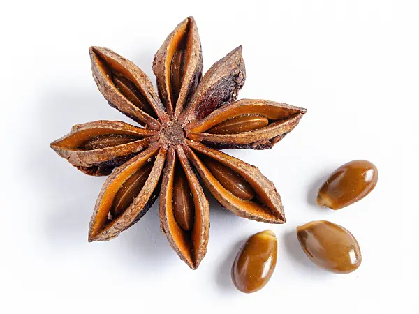 433072 - Chinese star anise (Illicium verum)
