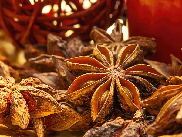 444046 - Chinese star anise (Illicium verum)