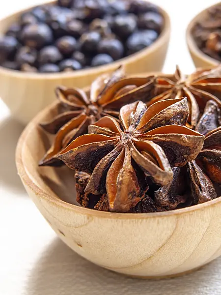 444084 - Chinese star anise (Illicium verum) and common juniper (Juniperus communis)