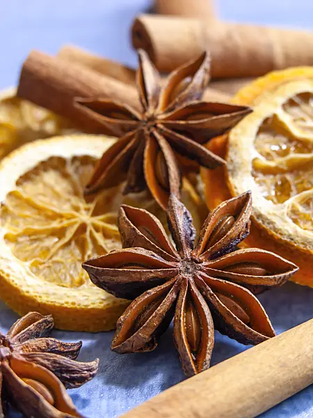 444076 - Chinese star anise (Illicium verum), orange (Citrus sinensis) and Chinese cinnamom (Cinnamomum aromaticum)