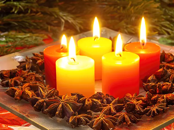 444054 - Chinese star anise (Illicium verum) with Christmas decoration