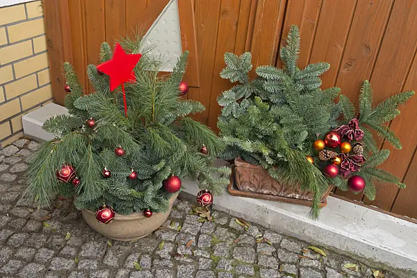 527015 - Christmas arrangement with twigs and Christmas tree baubles