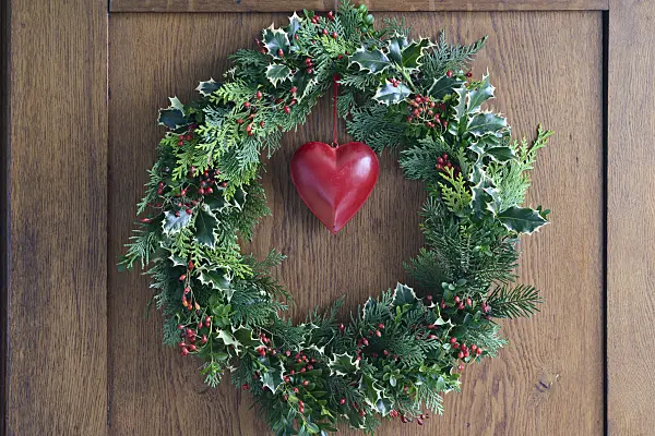 548130 - Christmas chaplet with holly (Ilex), boxwood (Buxus) and arborvitae (Thuja)