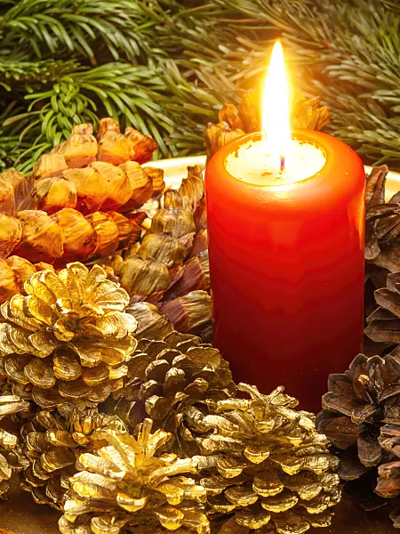 444047 - Christmas decoration with cones