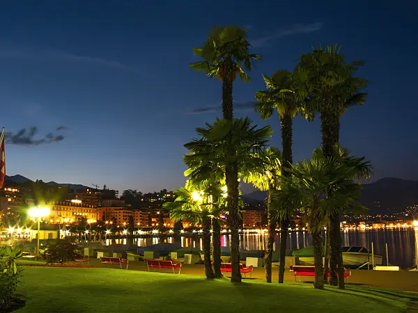 414123 - Chusan palm (Trachycarpus fortunei) at Lago di Lugano, Lugano, Switzerland