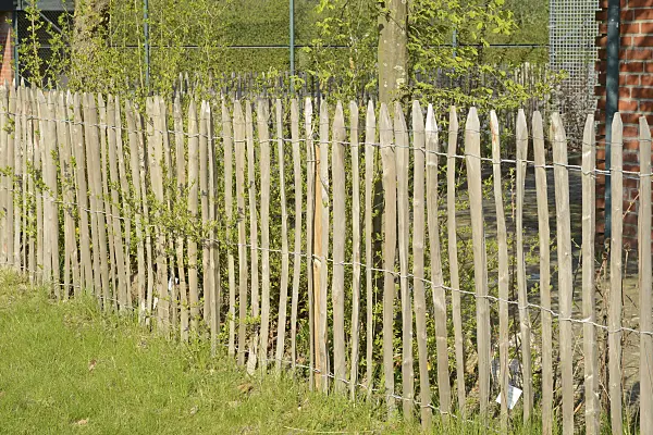 554041 - Clôture en lattis devant un jardin familial