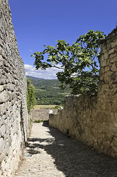 557157 - Cobbled path between houses with stone walls, Lacoste, Provence, France