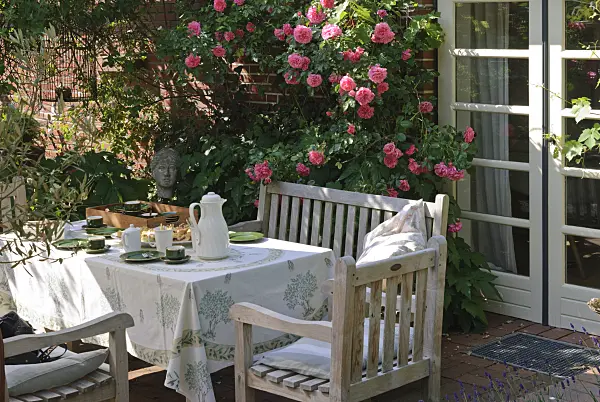 475262 - Coffeetable on a terrace, in the background climbing rose 'Rosarium Uetersen'