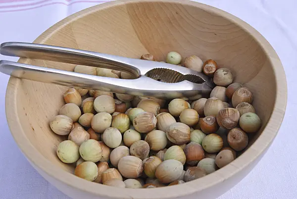 483043 - Common hazels (Corylus avellana) in a wooden bowl