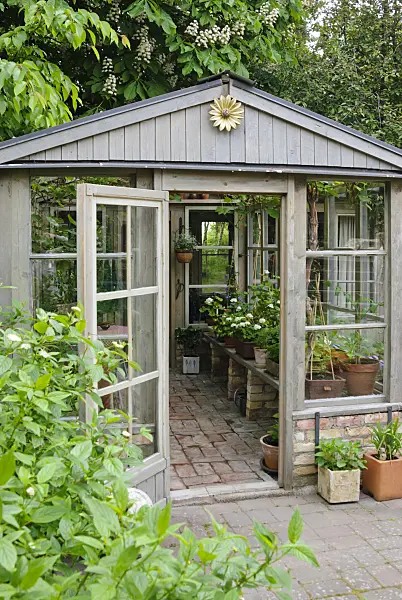 509141 - Common horse chestnut (Aesculus hippocastanum) above a wooden greenhouse with base, floor and table legs made of red bricks