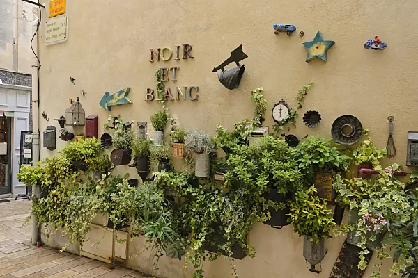 557151 - Container garden and decoration on a house wall, Saint-Rémy-de-Provence, Provence, France