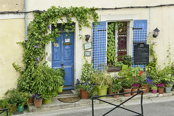 557114 - Container garden, Arles, France