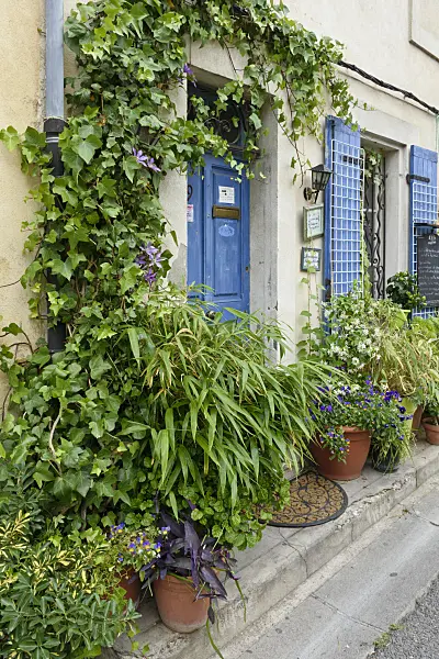 557119 - Container garden, Arles, France