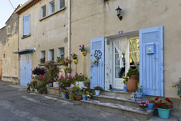557237 - Container garden, Arles, France