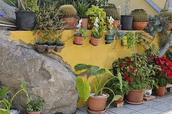 564072 - Container garden, Gran Canaria, Spain