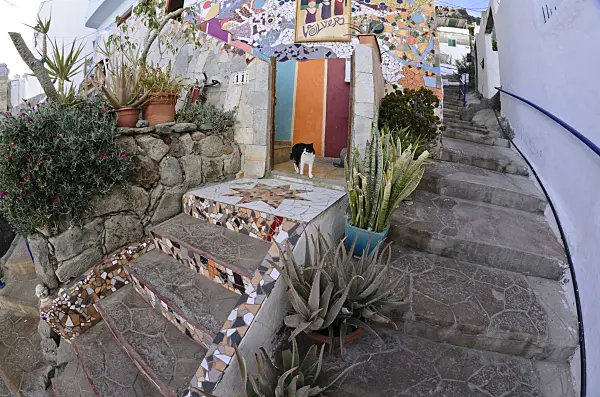 564117 - Container garden in a lane, Puerto de Mogán, Gran Canaria, Spain