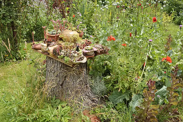 474137 - Container garden with succulents