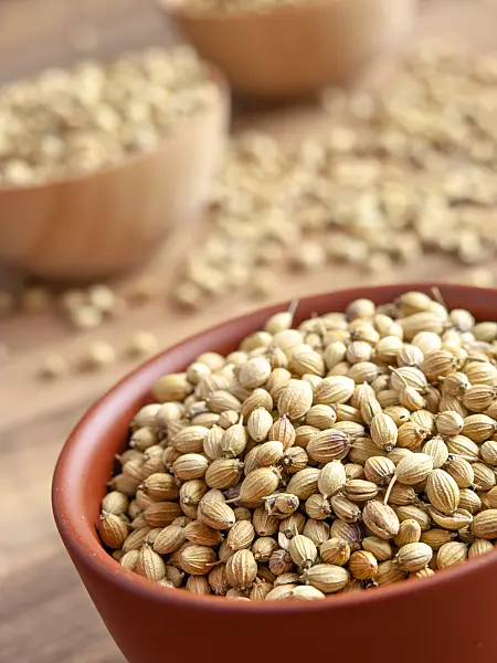 436114 - Coriander (Coriandrum sativum)