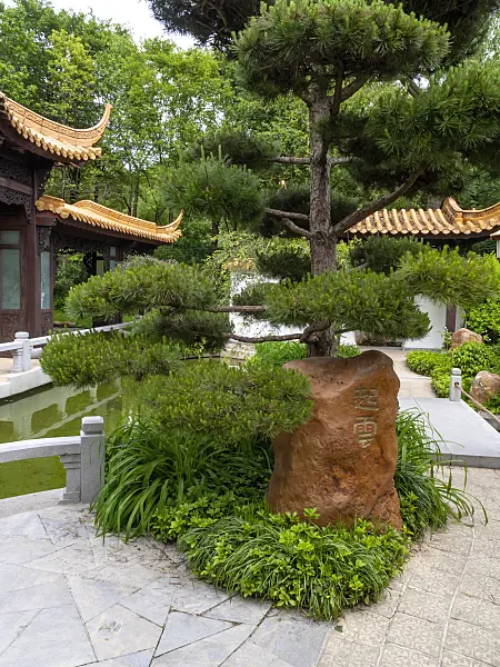 426095 - Cottage avec des toits en forme de pagode, jardin chinois, Westpark, Munich, Allemagne