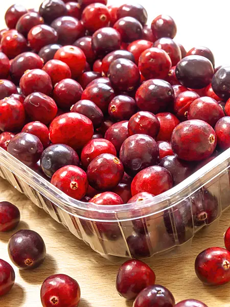444016 - Cranberry (Vaccinium macrocarpon)