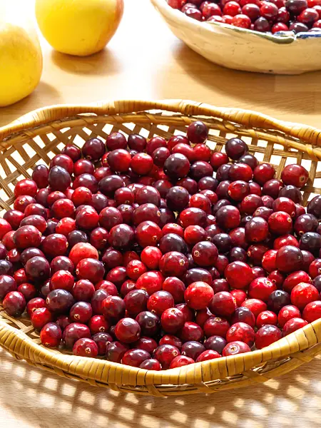 444018 - Cranberry (Vaccinium macrocarpon)