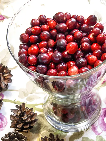 444020 - Cranberry (Vaccinium macrocarpon)