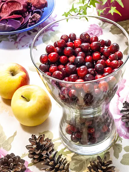 444021 - Cranberry (Vaccinium macrocarpon)