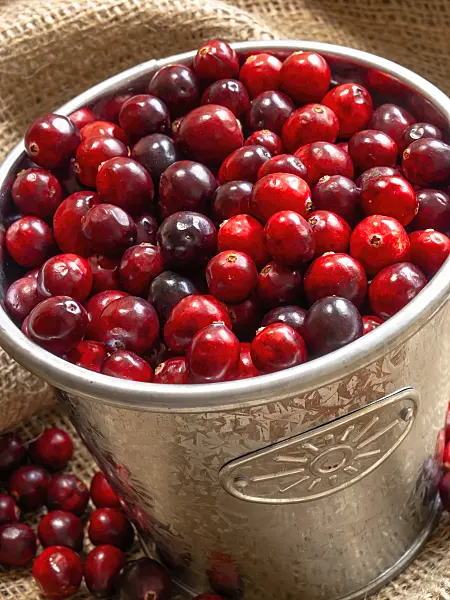 444023 - Cranberry (Vaccinium macrocarpon)