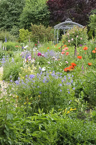 473073 - Cranesbills (Geranium), oriental poppy (Papaver orientale), roses (Rosa), peonies (Paeonia) and foxglove (Digitalis) with garden pavilion