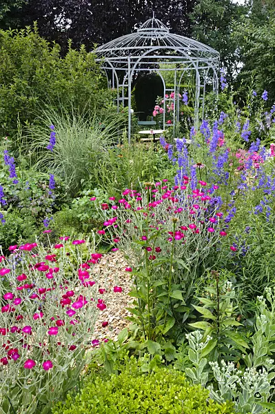 474088 - Crown pinks (Lychnis coronaria syn. Silene coronaria) and rocket larkspurs (Consolida ajacis) in front of a garden pavilion