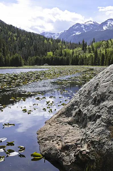 508357 - Cub Lake, Rocky Mountain National Park, Colorado, USA