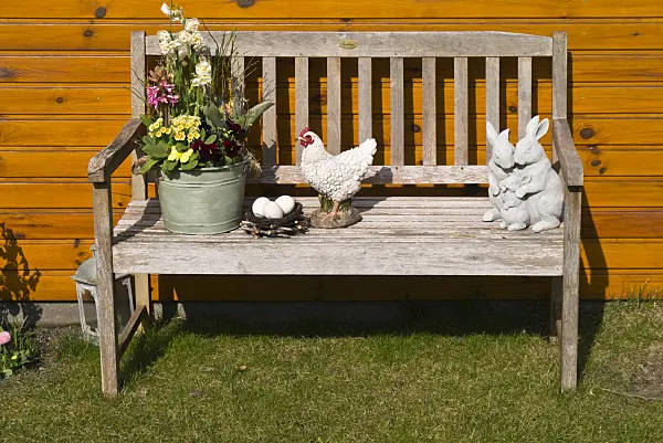 542008 - Daffodils (Narcissus), hyacinths (Hyacinthus), primroses (Primula) and violets (Viola) on a garden bench with spring decoration