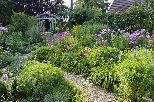 474446 - Day lilies (Hemerocallis), garden phlox (Phlox paniculata) and false sunflower (Heliopsis helianthoides)