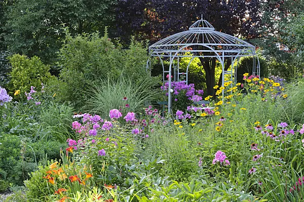 474447 - Day lilies (Hemerocallis), garden phlox (Phlox paniculata), false sunflower (Heliopsis helianthoides) and purple cone flower (Echinacea purpurea)