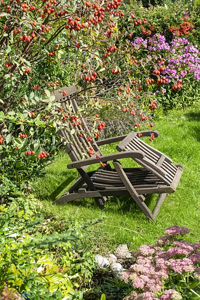 625013 - Deck chair in a garden
