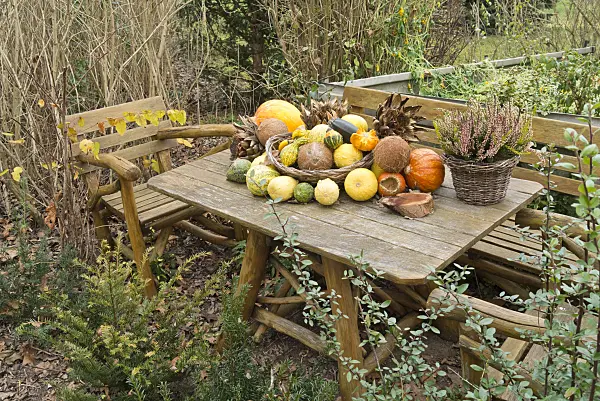 539002 - Decorative squashes (Cucurbita), artichokes (Cynara cardunculus syn. Cynara scolymus) and coconut trees (Cocos nucifera) on a garden table