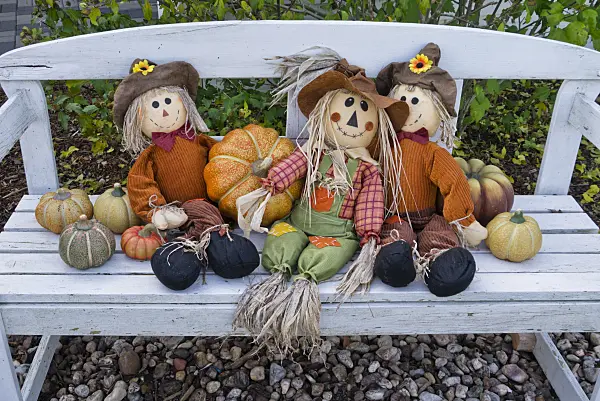 538004 - Decorative squashes (Cucurbita) with rag dolls on a garden bench