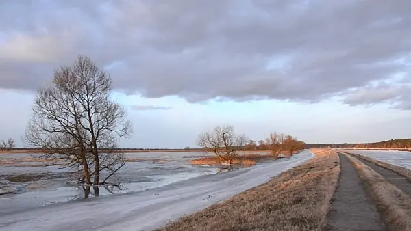 505146 - Dike at a flooded polder meadow, Lower Oder Valley National Park, Germany